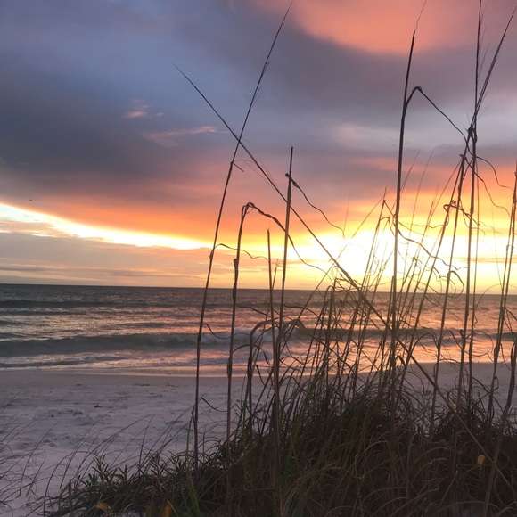 Meet your Posher, Annie! - Picture 4 of 9